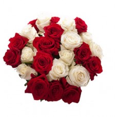 Red & White Roses